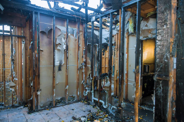 Professional Soot Cleanup technician working in Bokeelia, FL
